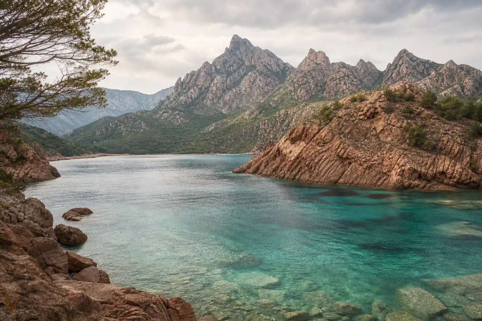 Corse